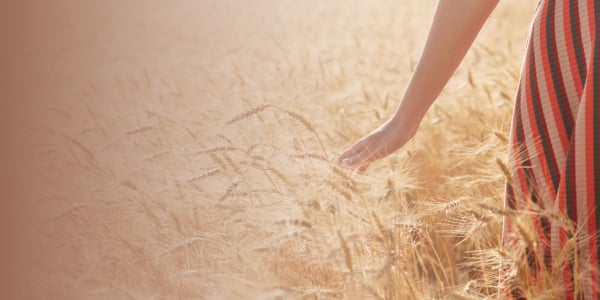 wholesome-hub wholesome-hub